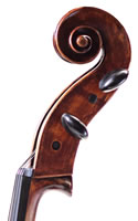 Gingko Cello