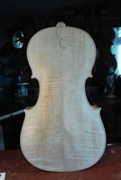 Valgus Cello