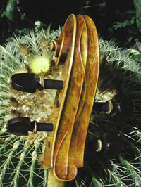 Violin scroll