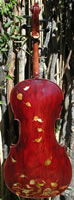 Aspen Cello