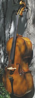 Beloved Cello
