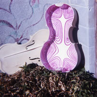 Chladni Cello