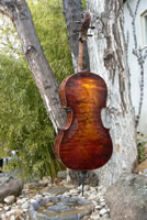 Gaia Cello