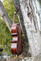 Gaia Cello