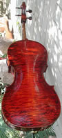 Galileo Cello