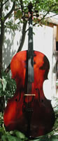 Galileo Cello