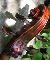 Galileo Cello