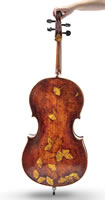 Gingko Cello