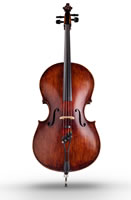 Gingko Cello