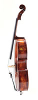 Gingko Cello