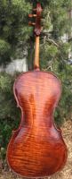 Phoenix II Cello