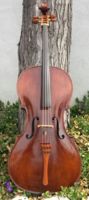 Phoenix II Cello