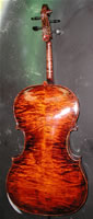 Rose Cello