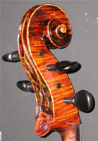 Rose Cello