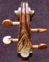 Sequoia Cello