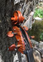 The Crane Cello