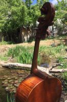 The Crane Cello