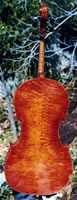 Thrush Cello