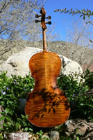 Valgus Cello