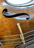 Zuni Cello