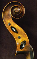 Zuni Cello