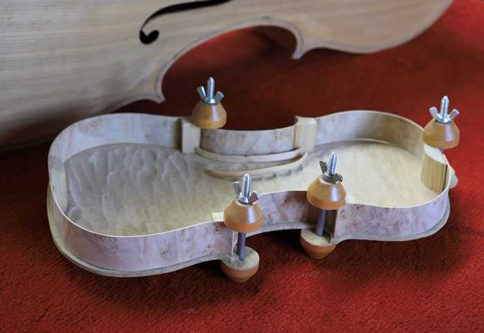 Violin rib cage