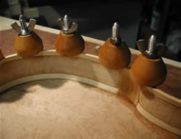 Viola with clamps