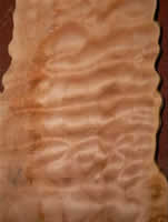 Slab cut maple