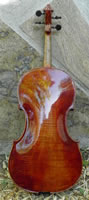 Fiamma Viola