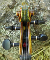 Acqua Violin