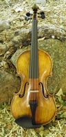 Acqua Violin