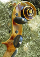 Acqua Violin
