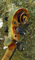 Acqua Violin