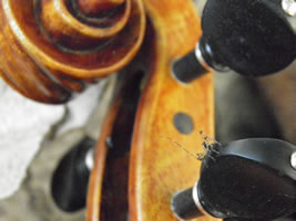 Vento Violin