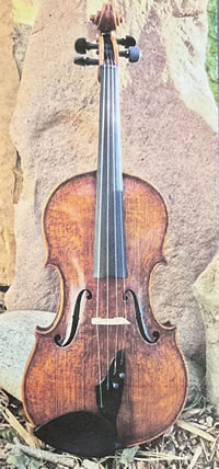 Einstein violin