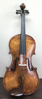 Avanti Viola