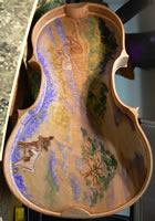 Bluebonnet Viola
