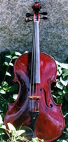 Dionysus Viola