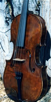 Octopus Viola