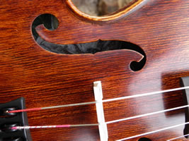 Steel Magnolia Viola