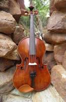 Steel Magnolia Viola