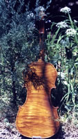 Hobbit Violin