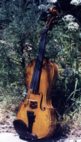 Hobbit Violin