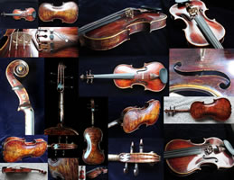 Kingfisher Violin