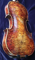 Kingfisher Violin
