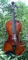 Kosmo Violin