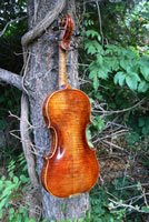 Kosmo Violin