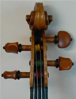 Ladybug Violin