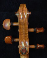 Ladybug Violin
