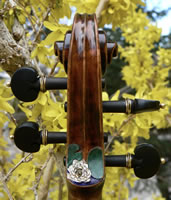 Lotus Violin